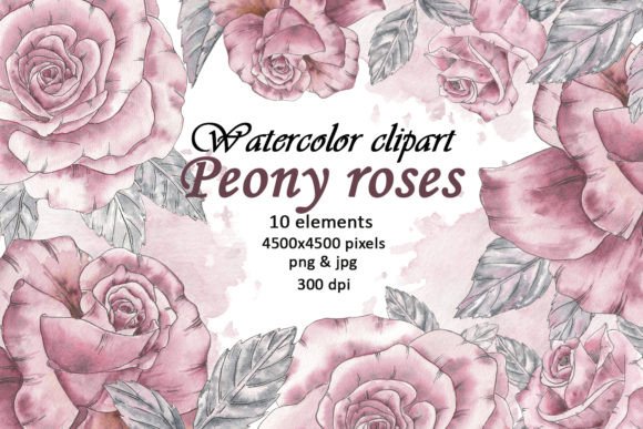 Download Watercolor Peony Flowers Vintage Clipart - Vintage clipart Collection